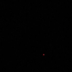 Meet your Posher, Nadine